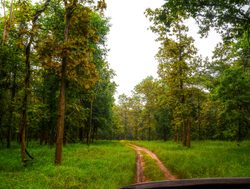 20211002175538 Pench National Park road